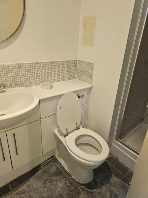 Big Double With Bathroom In 2 Bedroom Flat Kitchen Is Shared Apartment *