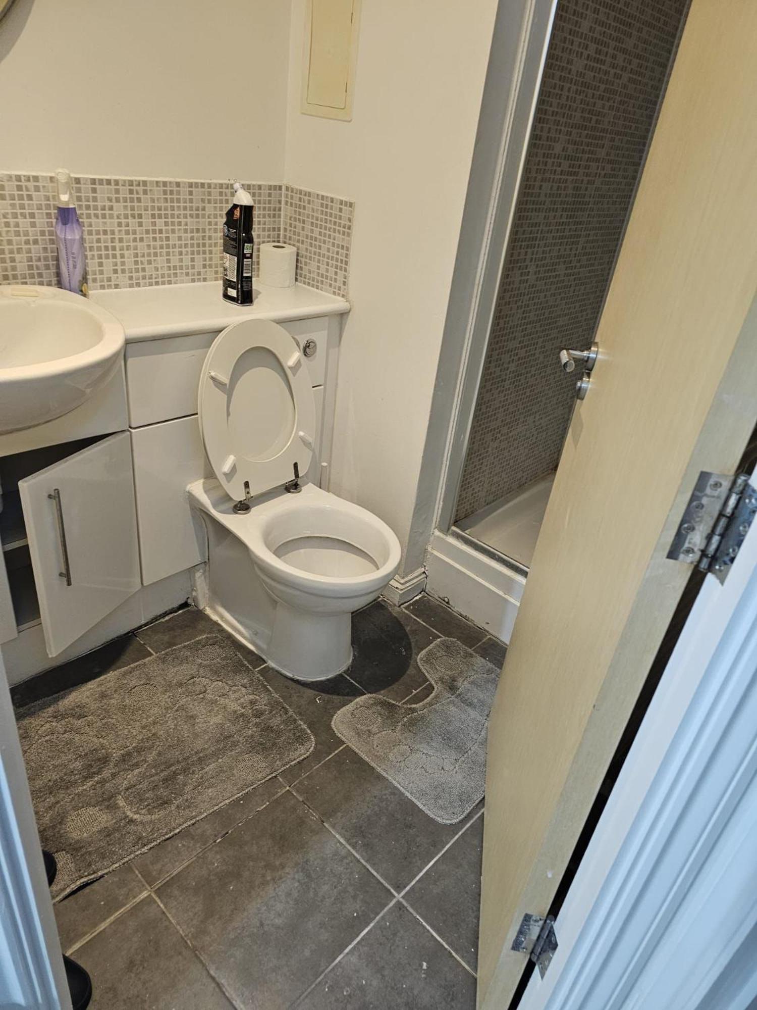Big Double With Bathroom In 2 Bedroom Flat Kitchen Is Shared Apartment *
